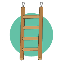 juguete escalera para aves