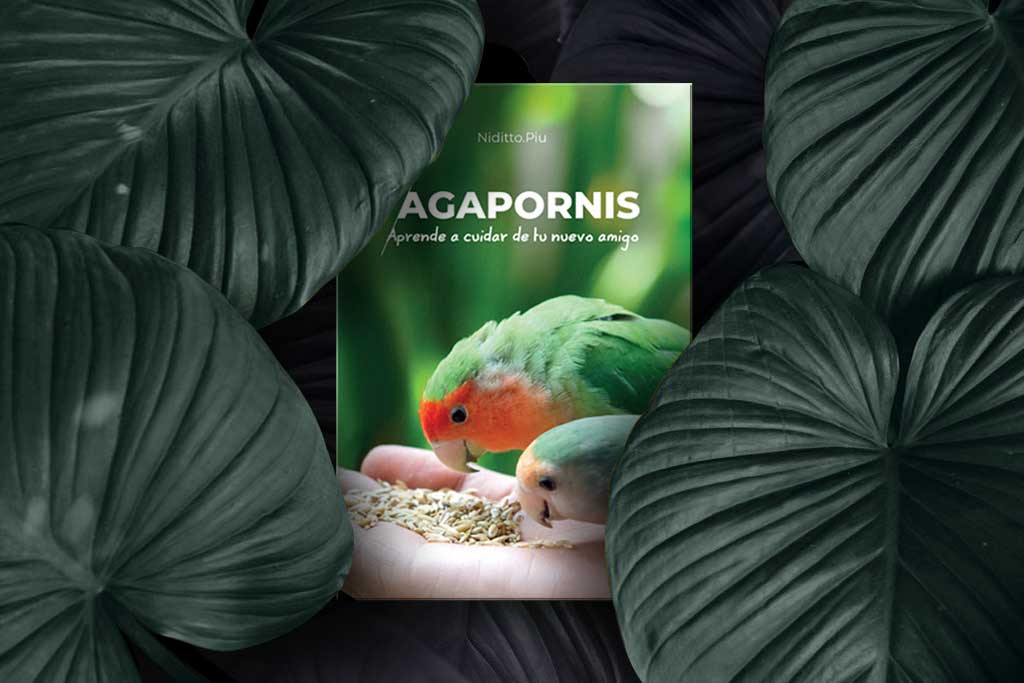 libro cuidar agapornis