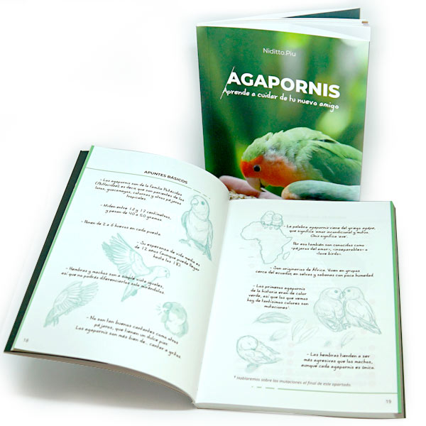 interior libro agapornis