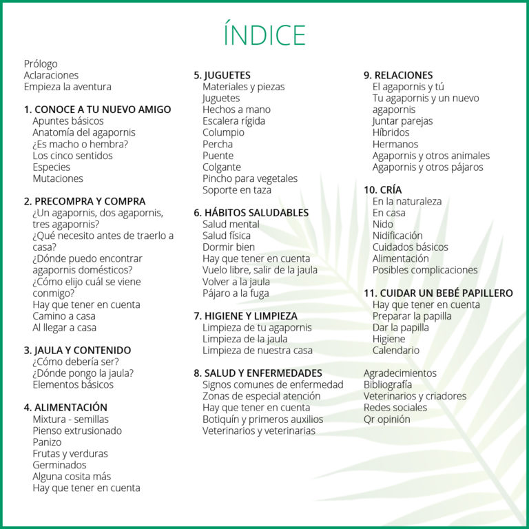 indice libro agapornis
