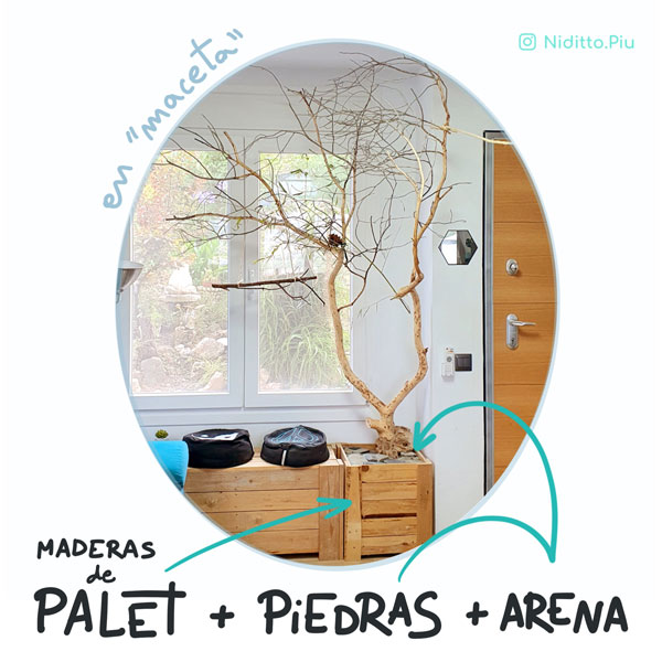 arbol dentro de casa para loros