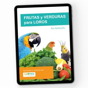 ebook listado frutas y verduras para loros