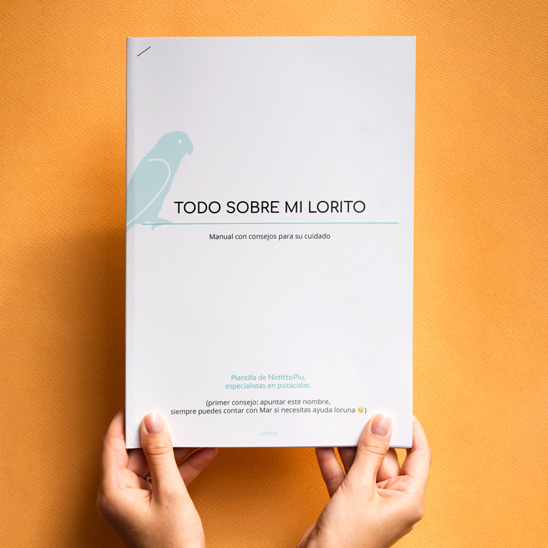plantilla nidittopiu Todo sobre mi lorito