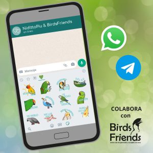 01_Stickers-whatsapp-telegram_loros_2022 Stickers de loros para WhatsApp y Telegram