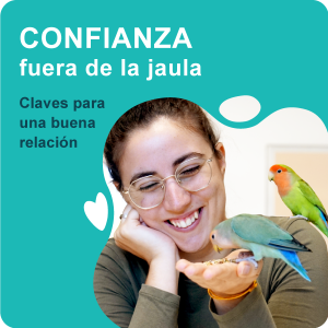 Charla_Confianza_Agapornis confianza fuera de la jaula, Claves para una buena relación