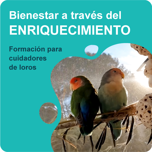 Bienestar a través del enriquecimiento, formación para cuidadores de loros.