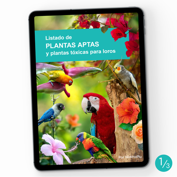 E-book Listado plantas aptas y plantas tóxicas para loros