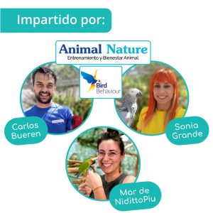 Curso-Imparte