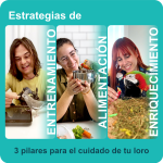 3 pilares para el cuidado de tu loro