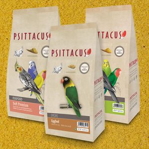 Pasta de círa Psittacus