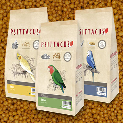 Pienso Psittacus