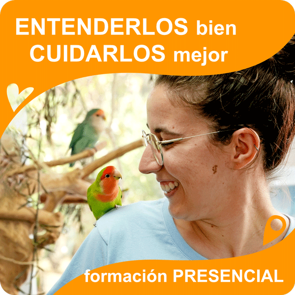Entenderlos bien, cuidarlos mejor