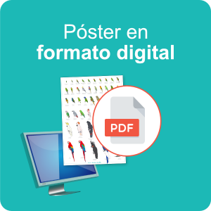 poster-pdf_01