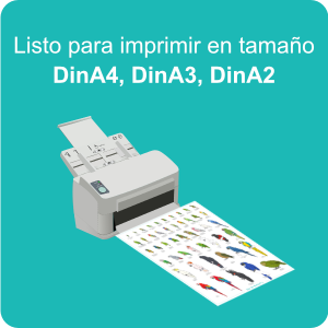 poster-pdf_02