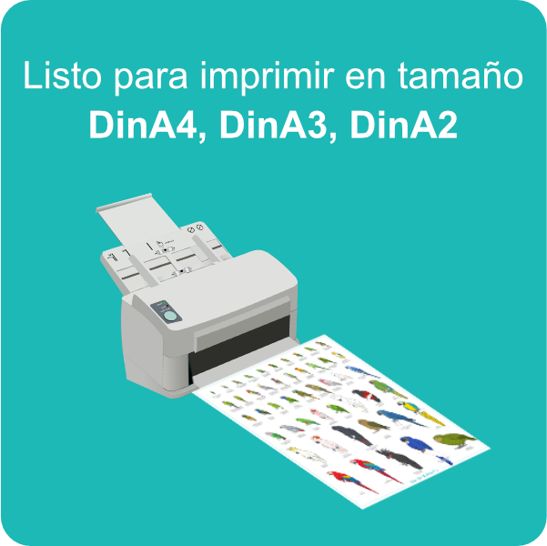poster-pdf_02