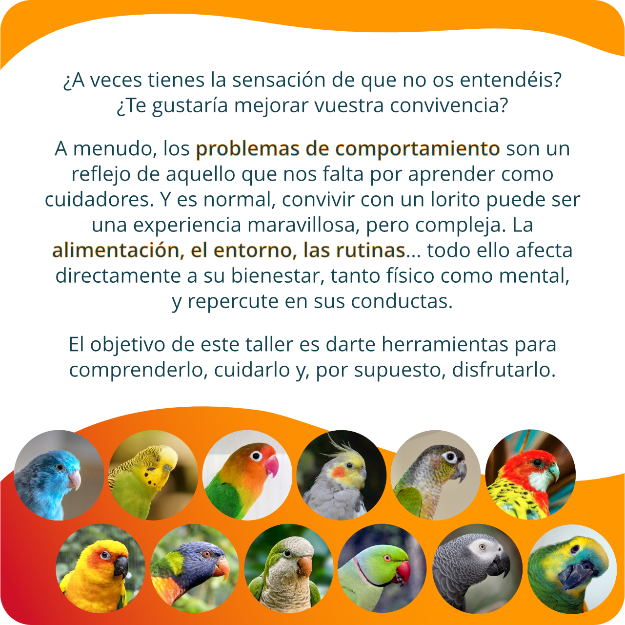 Descripcion